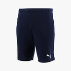 Puma Shorts Active Interlock, AZUL, hi-res