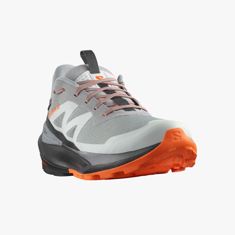 Salomon Zapatillas Elixir Activ Gtx, GRIS, hi-res image number null