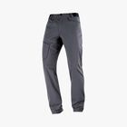 Salomon Pantalón Wayfarer, GRIS, hi-res