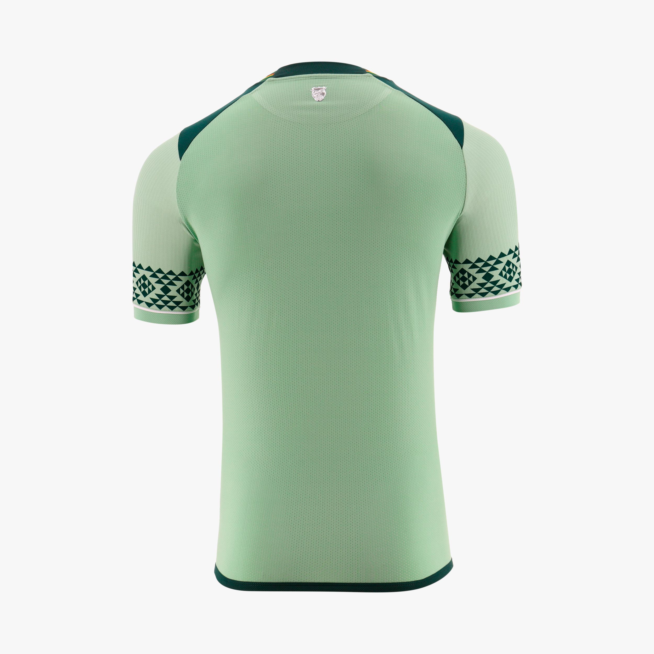 Camiseta Titular Copa América FBF, VERDE, hi-res