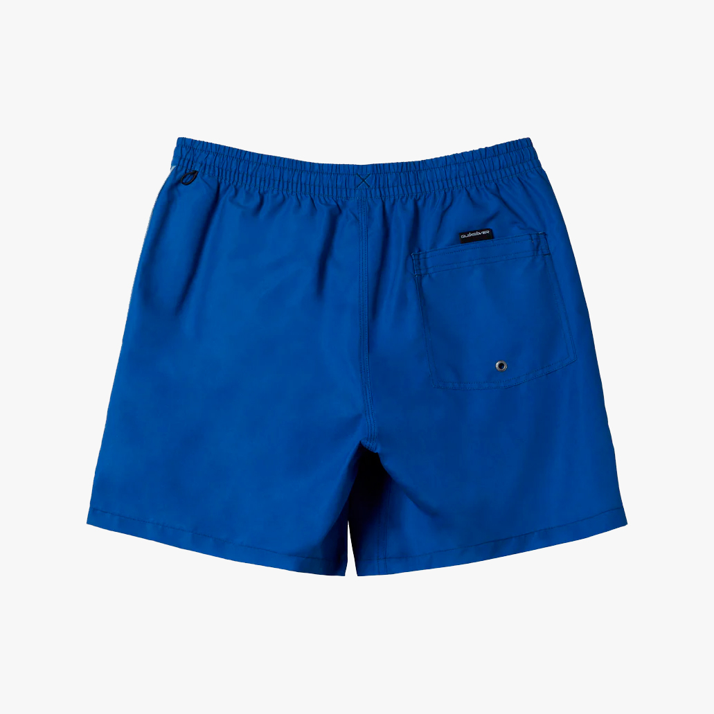 Quiksilver Everyday Vert Volley 17" Swim Shorts, SURTIDO, hi-res