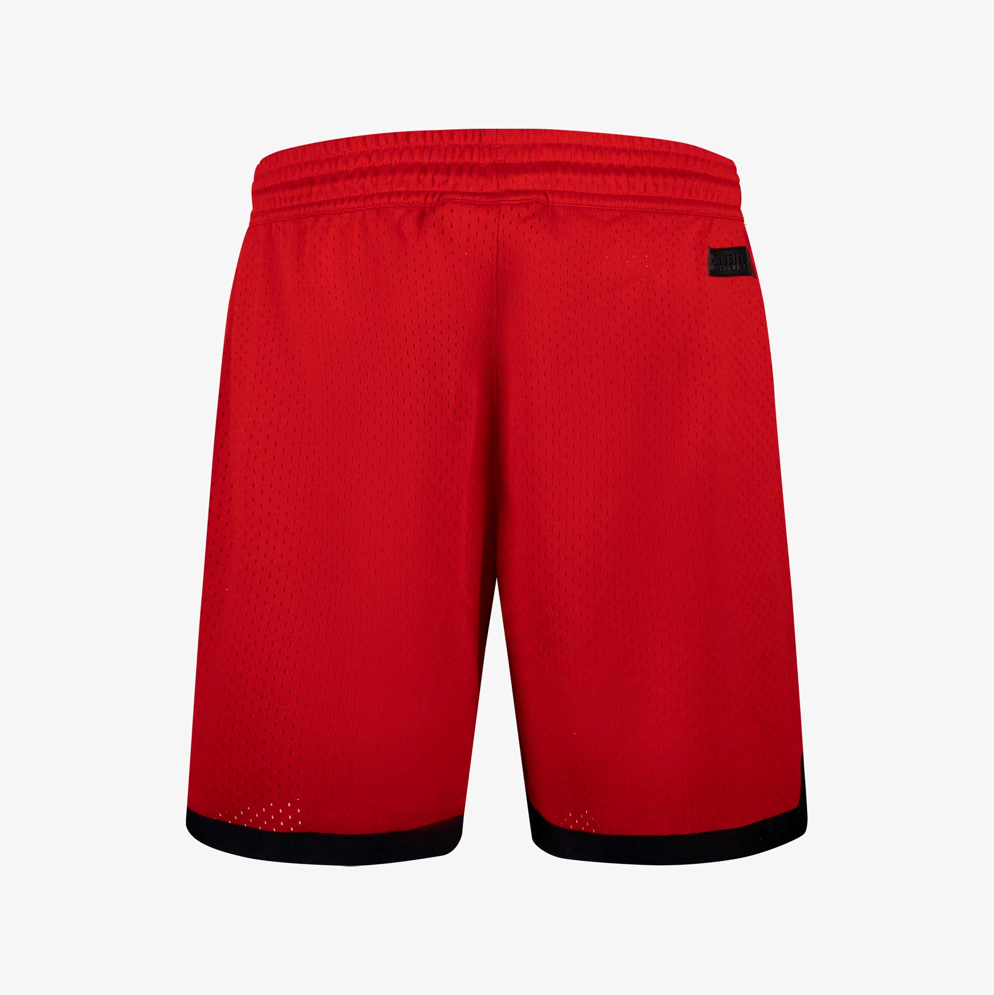 NBA Short Front Logo Bulls, ROJO, hi-res