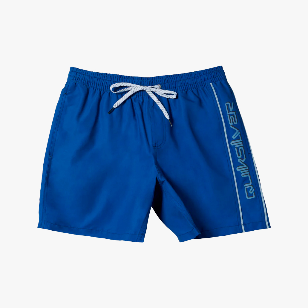 Quiksilver Everyday Vert Volley 17" Swim Shorts, SURTIDO, hi-res