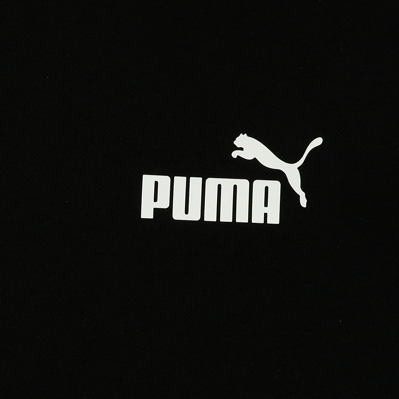 Puma Polerón Ess Small Logo, NEGRO, hi-res